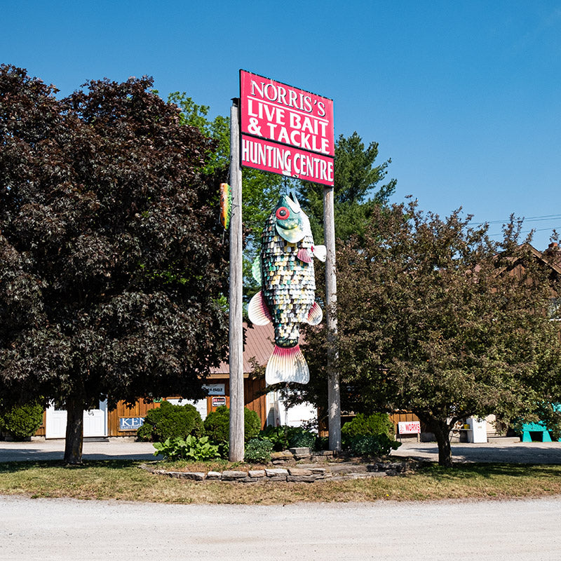 Norris's Big Bass Sign