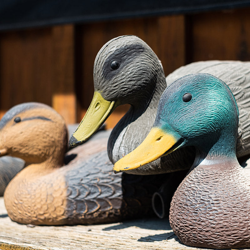 Decoy ducks close up